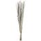40" Gray Dried Plant Floral Bouquet Branch Natural Foliage with Grass Stems